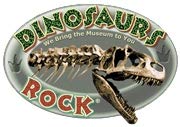DINOSAURS ROCK® Bulk Genuine Fossil Mix - 1/2 Pound - 20+ specimens