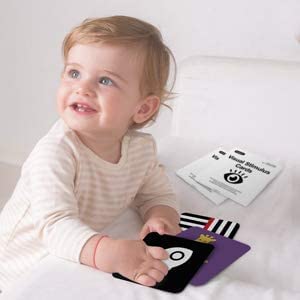 beiens High Contrast Baby Flashcard, 80 Pcs 160 Page Black White Colorful Visual Stimulation Learning Activity Card for Babies Ages 0-3-6-12-36