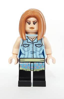 LEGO Friends: Rachel Green and Monica Geller