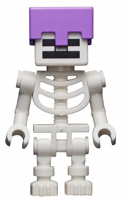 LEGO Minecraft: Alex with Skeleton and Skeleton Horse Mini Set