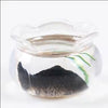 1Pcs Multicolour Mini Round Fish Tank Realistic Glass Decor for Dollhouse Display Captivating Miniature for Crafts Ornaments Handmade