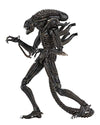 NECA - Alien- 7" Scale Action Figures - Ultimate Warrior - (1986) Brown Alien