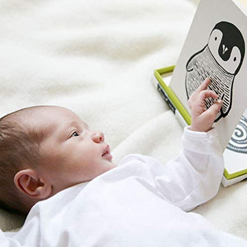 Wee Gallery High Contrast Cards for Baby - Black and White Jungle Animals