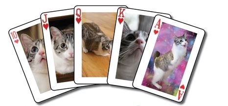 Lil Bunny Sue Roux Playing Cards