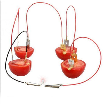 Fruit Battery Power Generation Light Science Kit Lemon