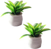 1:12 Scale Mini Potted Plants - Resin Botanical Decor for Dollhouse Kitchens and Living Rooms, Evergreen DIY Craft Accessories with Lifelike Foliage