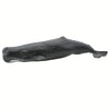 Safari Ltd. Sperm Whale Figurine - Lifelike 9" Whale Figure - Ocean Animal Toy for Boys, Girls and Kids Ages 1+
