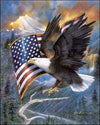 American Pride - Eagle and Flag - Paper Tole 3D Decoupage Craft Kit Size 8x10 inches 18988 (The Additional Pictures Show Examples of This Craft Kit