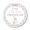 A Little Silly Goose is Almost on The Loose, Baby Shower Sticker, Gingham Pattern with Goose Theme, Round Label - Set of 40 (Pink)