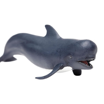 Safari Ltd. Pilot Whale Figurine - Lifelike 5.75" Model Figure - Educational Toy for Boys, Girls, and Kids Ages 3+