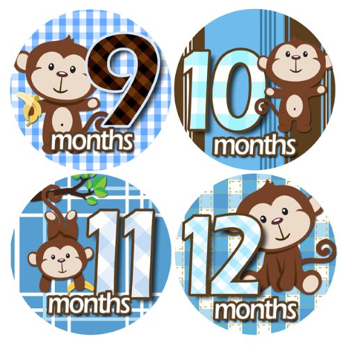 Baby Monthly Milestone Stickers, Baby Milestone Sticker, Monthly Age Month Stickers, Baby Boys Stickers, Newborn Boy Month Stickers for Little Boy