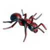 JOKFEICE Realistic Animal Figures Red Ant Figurines Insect Toy, Science Project, Cake Topper, Early Educational Toys Birthday for Toddlers Kids Age 3