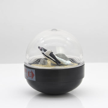 Marine Life Miniature Aquarium sea Turtle Spotted Garden EEL Humboldt Penguin Snow Globe (Humboldt Penguin)