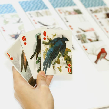 Kikkerland 3D Lenticular Bird Pokersize Deck 54pc Standard Index Waterproof Novelty Playing Cards