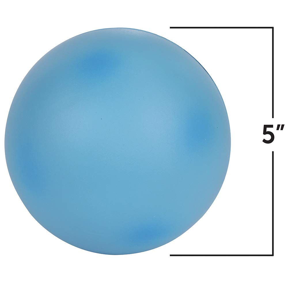 Learning Resources Cross-Section Animal Cell Model