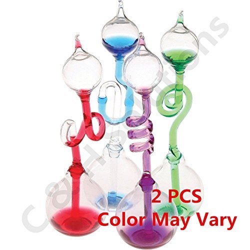 C&H Solutions Colorful Office Thinking Hand Boiler, Glass Science Energy Transfer, Children Science Experiment, Love Birds Color Meter Hand Boiler, 2