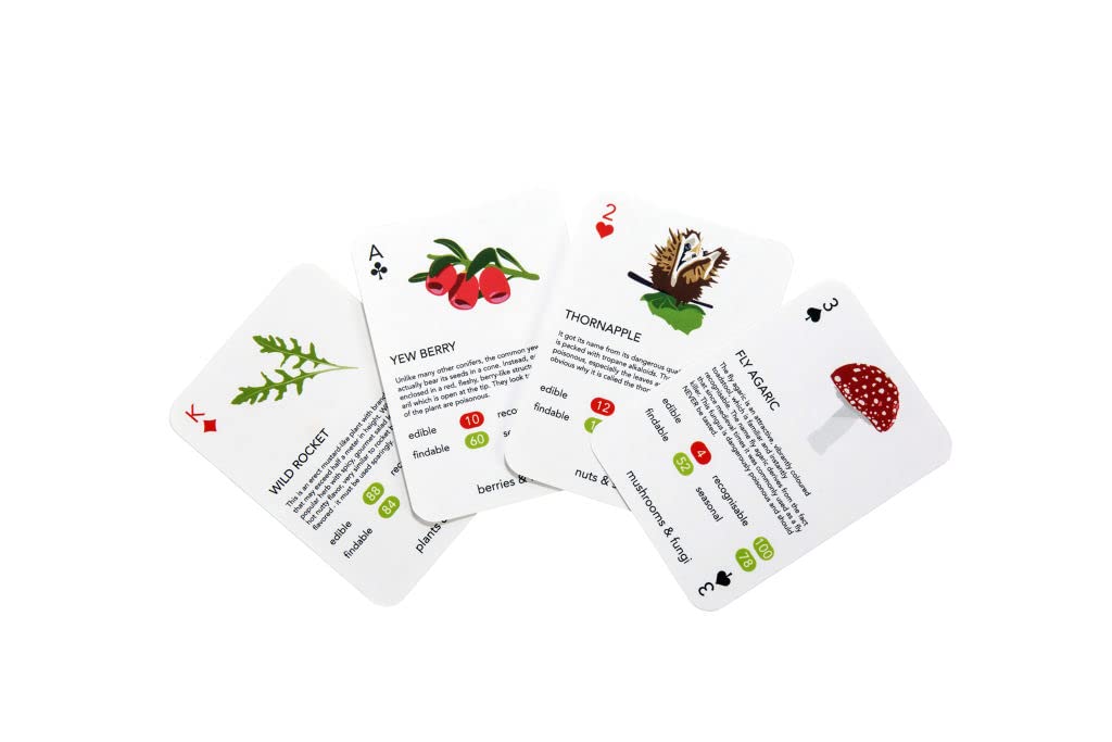 Kikkerland Foragers Playing Cards, 1 EA