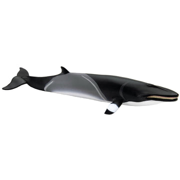 Safari Ltd. Minke Whale Figurine - Hand-Painted, Lifelike 7" Model Figure - Educational Sea Life Toy for Boys, Girls & Kids Ages 3+