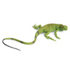 Safari Ltd. Iguana Baby Figurine - Detailed 9.4" Plastic Model Figure - Educational Toy for Boys, Girls and Kids Ages 3+
