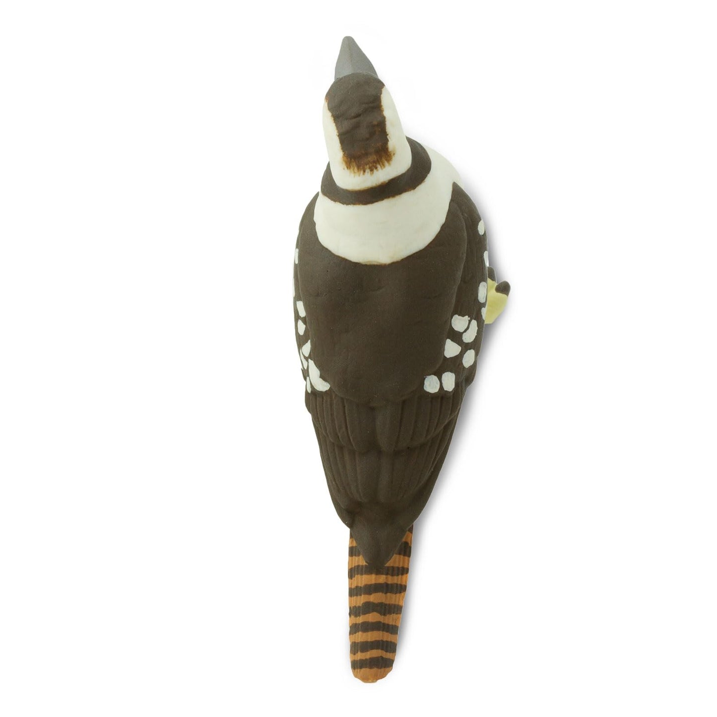 Safari Ltd. Kookaburra Figurine - Realistic 3" Bird Figure - Educational Toy for Boys, Girls, and Kids Ages 3+