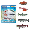 Safari Ltd. Life Cycle of a Salmon Set - 5 Hand-Painted, Lifelike Model Figures - Fun Educational Toy for Boys, Girls & Kids Ages 4+