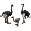 DOYIFUN 3 Pcs Realistic Ostrich Family Figurines Cake Topper, Plastic Wildlife Ostrich Animal Toy Figures Collection Playset Birthdat Gift Educational