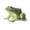 DOYIFUN Simulated Tree Frog Model Figure Toy, Realistic Bullfrog Figurines Collection Playset Science Educational Props