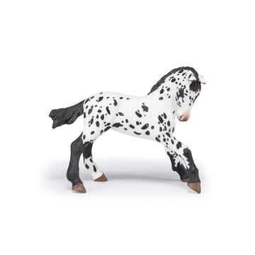 Papo - Realistic Black Appaloosa Foal Figure - Ages 3+ - Horses and Ponies Collection - Creative Play Equestrian World - Gift Idea Toy for Girls