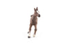 Papo "Anglo-Arabian Foal Figure, Brown
