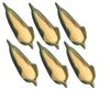 Melody Jane Dolls Houses Classics Dollhouse Miniature Set of 6 Ears of Corn in Husk