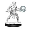 D&D Nolzur's Marvelous Miniatures: Multiclass Fighter+Wizard Male