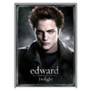 Neca - Twilight Sticker Edward