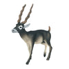 JOKFEICE Animal Figures Realistic Plastic Blackbuck Animal Action Model Science Project, Learning Educational Toys, Birthday Gift, Cake Topper