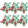 Growing Pepper Father’s Day Craft Kit, Makes 6