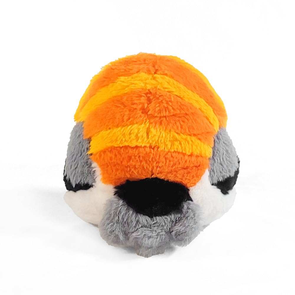 Borbs 0.5ft Sushi Shima Enaga with Textured Back