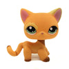 CFCLLBR Mini Pet Toys #1643 Orange Short Hair Cat Flower Animal Figure