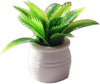 1:12 Scale Mini Potted Plants - Resin Botanical Decor for Dollhouse Kitchens and Living Rooms, Evergreen DIY Craft Accessories with Lifelike Foliage