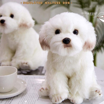 QREZAA 14" Realistic Plush Maltese Dog, Stuffed Animal Puppy Dog Toys, Soft Plush Pillow Birthday for Kids and Adult, White