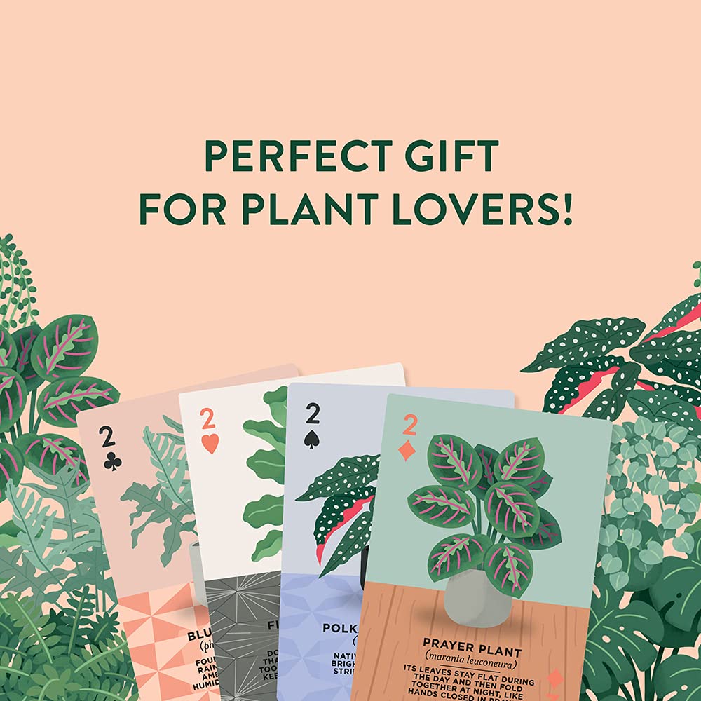 Ridley's Games: Houseplants Playing Cards| 52 Unique Hand-Illustrated Donut Playing Cards - Includes a Durable Storage Tin for Easy Travel - Makes