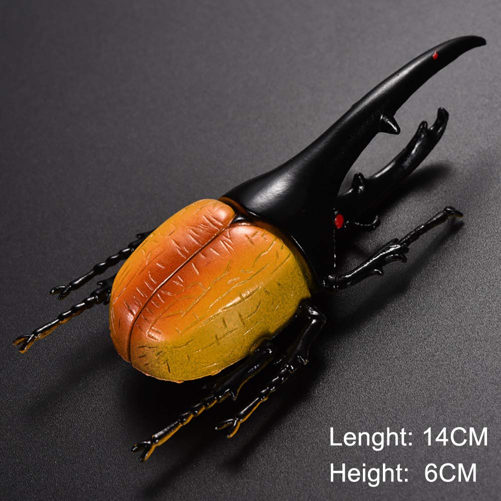 DOYIFUN Pack of 6 Lifelike Beetle Model Toys, Fake Realistic Insect Figures Collection Playset Science Educational Learning Toys for Kids Toddlers