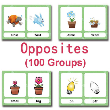 Zwttey 100 Groups English Antonyms Flashcards Building Vocabulary Pocket Cards Educational Learning Toys Pre-Kindergarten Classroom Supplies