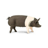 Safari Ltd. Hampshire Pig Figurine - Lifelike 4.25" Model Figure - Educational Toy for Boys, Girls, and Kids Ages 3+
