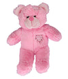 Stuffems Toy Shop Record Your Own Plush 8 inch Pink Patches Teddy Bear - Ready 2 Love in a Few Easy Steps