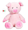Stuffems Toy Shop Record Your Own Plush 16 inch Pink Pig - Ready 2 Love in a Few Easy Steps