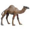 FLORMOON Animals Figure - Realistic Camel Figurines - Early Educational Toys Science Project Christmas Birthday for Boys and Girls
