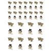 Wake Forest Small Sticker Sheet - 2 Sheets