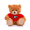 Plushland Collegiate Jersey Bear 6” - Team Sports Vivid Clear Color Toy, Stuffed Animals Toy, State University, School Logo Kids, Bulk Parties Edition