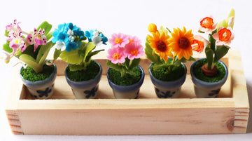 ThaiHonest Set 5 Assorted Dollhouse Miniature Flowers,Tiny Flowers in Ceramic Pot with Planter Box, Dollhouse Accessories for Collectibles