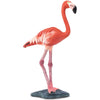 Safari Ltd. Flamingo Figurine - Hand-Painted, Lifelike 3.25" Model Figure - Fun Educational Bird Toy for Boys, Girls & Kids Ages 3+