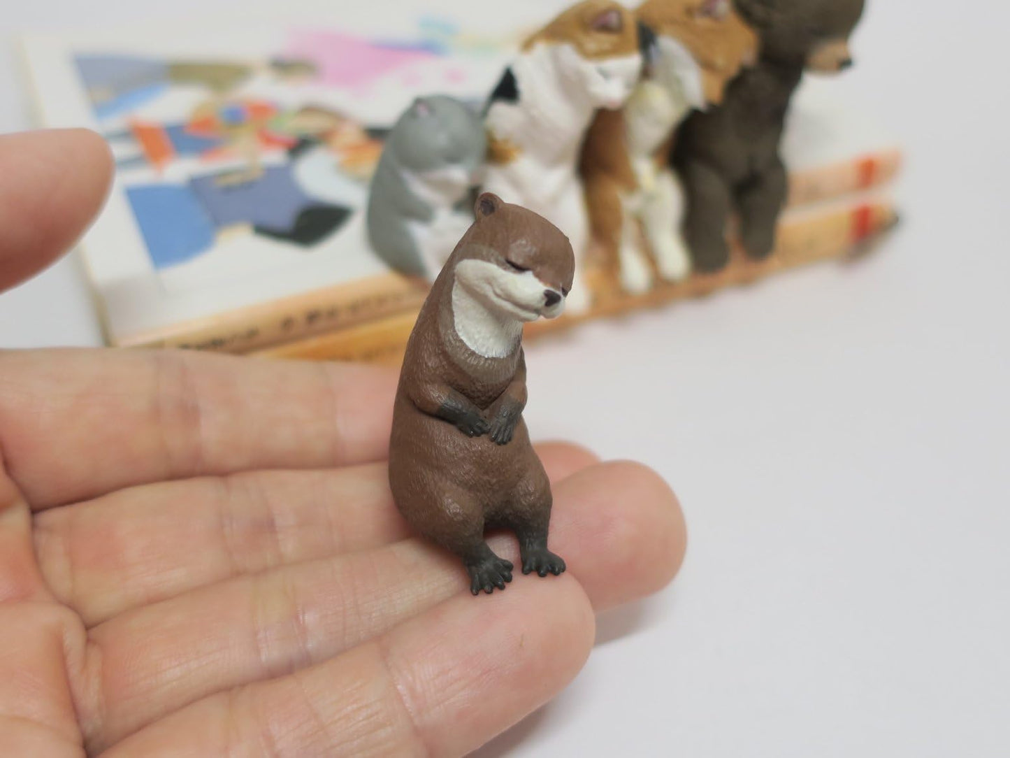 Newbee4 Miniature All 5 Types Adorable Sleeping Animal Figures - Hamster, Otter, Calico Cat, Shiba Inu and Bear sit Close and Sleep Together,Capsule